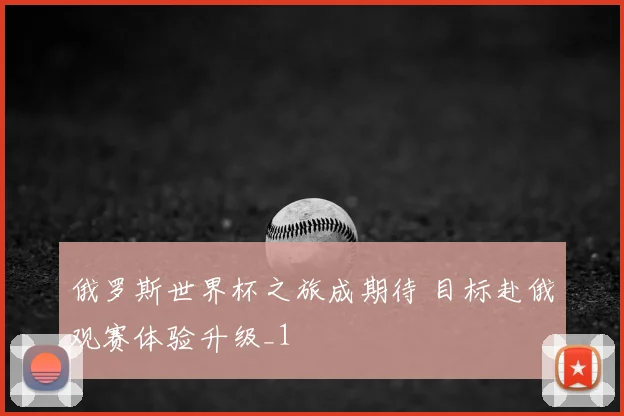 俄罗斯世界杯之旅成期待 目标赴俄观赛体验升级_1