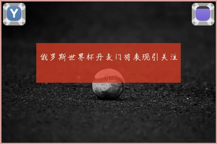 俄罗斯世界杯丹麦门将表现引关注