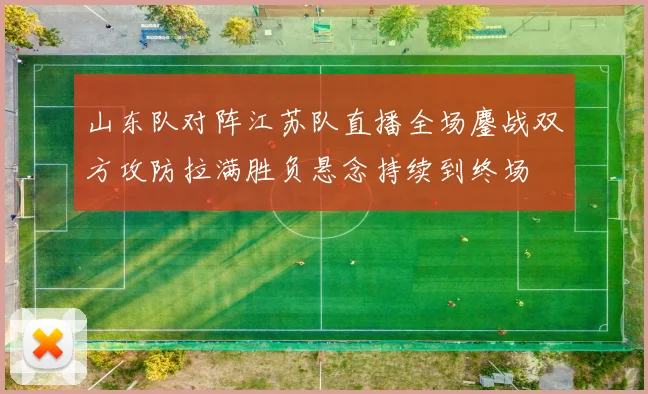 山东队对阵江苏队直播全场鏖战双方攻防拉满胜负悬念持续到终场