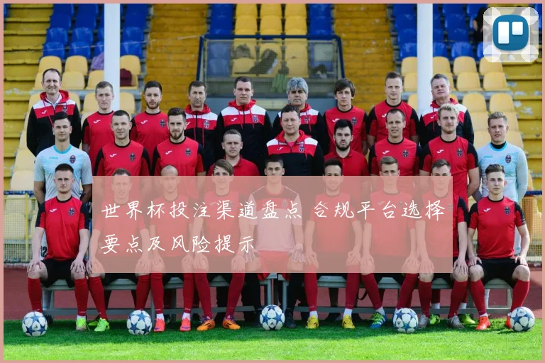 世界杯投注渠道盘点 合规平台选择要点及风险提示