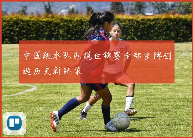 中国跳水队包揽世锦赛全部金牌创造历史新纪录