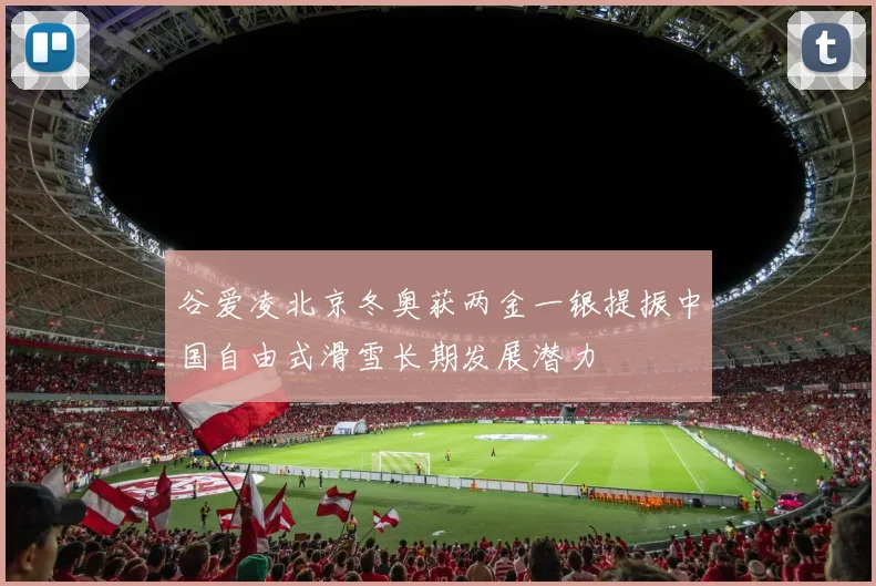 谷爱凌北京冬奥获两金一银提振中国自由式滑雪长期发展潜力