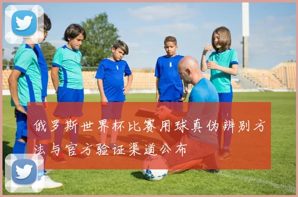 俄罗斯世界杯比赛用球真伪辨别方法与官方验证渠道公布