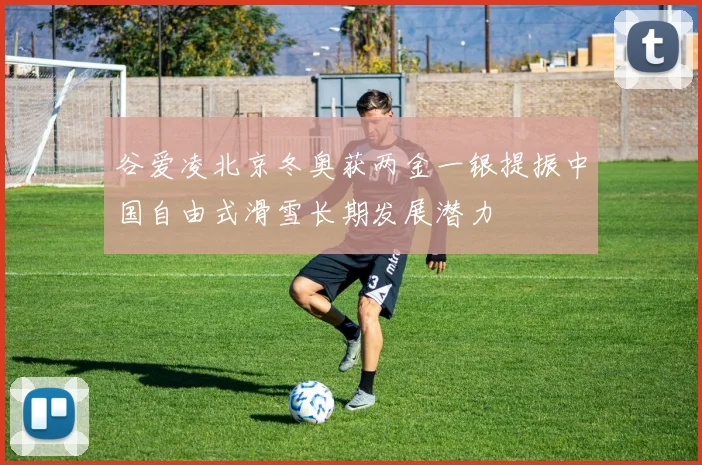 谷爱凌北京冬奥获两金一银提振中国自由式滑雪长期发展潜力